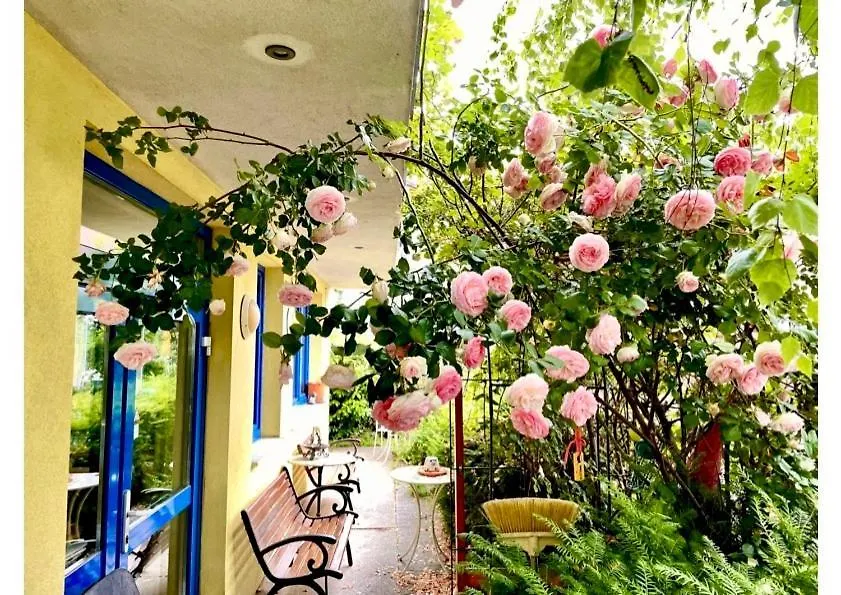 Frühstückspension Hotel-Pension Puzwidu Wien Österreich